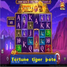 fortune tiger pote de ouro